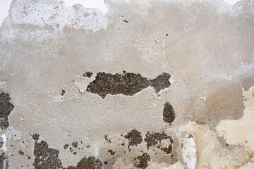 Severely Damaged Wall with Plaster Loss Caused by Rising Capillary Moisture 