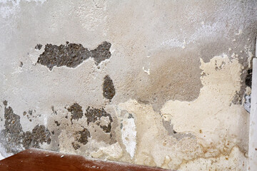 Severely Damaged Wall with Plaster Loss Caused by Rising Capillary Moisture 