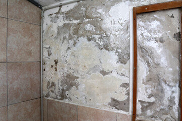Wall with Damp Stains and Saltpeter Efflorescence Caused by Rising Capillary Moisture