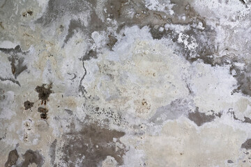 Wall with Damp Stains and Saltpeter Efflorescence Caused by Rising Capillary Moisture