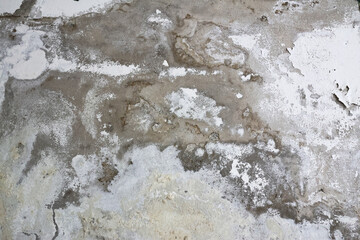 Wall with Damp Stains and Saltpeter Efflorescence Caused by Rising Capillary Moisture