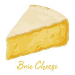 brie cheese in watercolor illustration style, isolated vector on white background