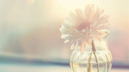 Spring & Summer Floral Beauty: Pink Roses, Purple Peonies, and Daisy Bouquets in Garden Arrangements