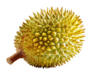 Durian fruit nature food detail isolated on transparent background