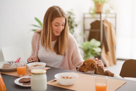 Smiling woman caressing adorable Jack Russell Terrier while sitting at table and having morning meal