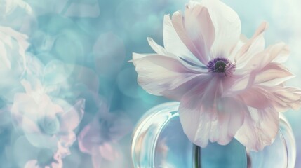 Spring & Summer Floral Beauty: Pink Roses, Purple Peonies, and Daisy Bouquets in Garden Arrangements