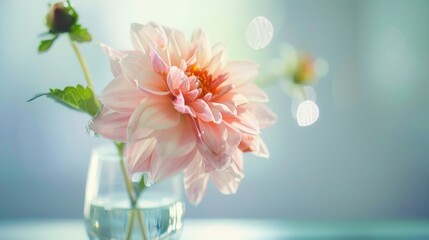 Spring & Summer Floral Beauty: Pink Roses, Purple Peonies, and Daisy Bouquets in Garden Arrangements