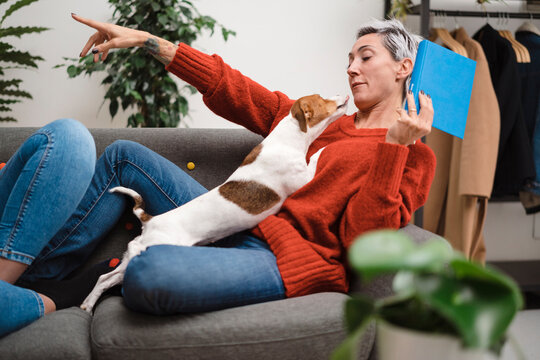 Middle aged woman holding book and saying adorable playful Jack Russell Terrier to go away while resting on sofa