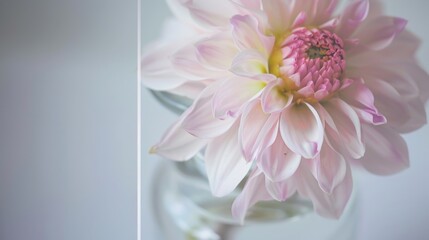 Spring & Summer Floral Beauty: Pink Roses, Purple Peonies, and Daisy Bouquets in Garden Arrangements