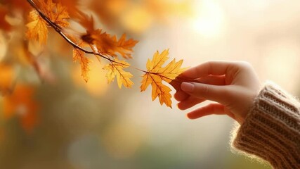 A hand holds a bright orange autumn leaf on a branch, with a soft sunlit blurred background. - Powered by Adobe
