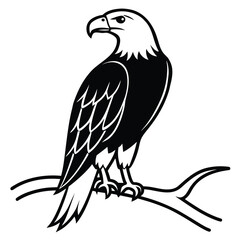 Bald eagle perched on a branch, vector image