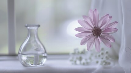 Spring & Summer Floral Beauty: Pink Roses, Purple Peonies, and Daisy Bouquets in Garden Arrangements
