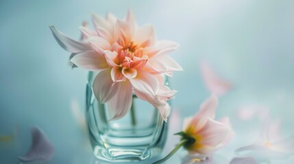 Spring & Summer Floral Beauty: Pink Roses, Purple Peonies, and Daisy Bouquets in Garden Arrangements
