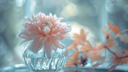 Spring & Summer Floral Beauty: Pink Roses, Purple Peonies, and Daisy Bouquets in Garden Arrangements