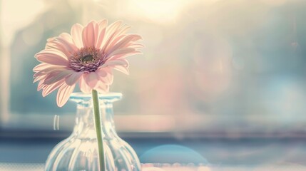 Spring & Summer Floral Beauty: Pink Roses, Purple Peonies, and Daisy Bouquets in Garden Arrangements