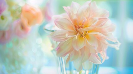 Spring & Summer Floral Beauty: Pink Roses, Purple Peonies, and Daisy Bouquets in Garden Arrangements