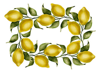  watercolor frame illustration with ripe yellow lemons and green leaves on white background. Perfect for lemonade or limoncello design, packaging, invitations, postcards, labels and decor.