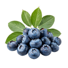Close-up of fresh blueberry isolate on a white background. Ripe, blue berries show texture and are perfect for culinary or design projects.