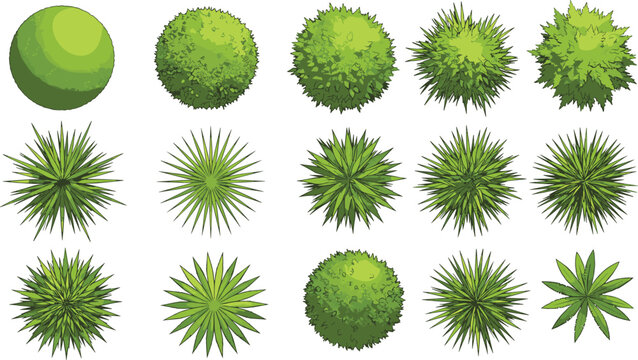 Top view plant icon set, spherical and spiky foliage, geometric greenery, perfect for landscape design, garden graphics, nature illustrations, and botanical elements