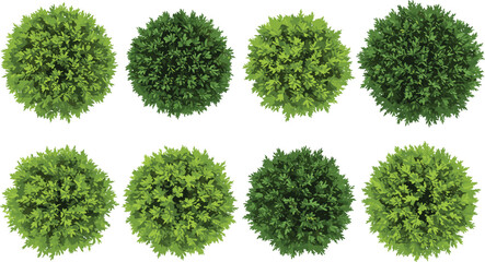 Top-down cartoon green bush set with varying shades and textures — perfect for garden design, landscape illustrations, game assets, eco branding, and digital art projects