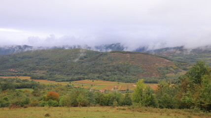 autumn landscape with fog
