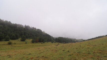 mountain landscape with fog