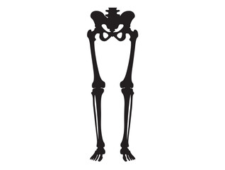  Human leg skelton in silhouette white background.