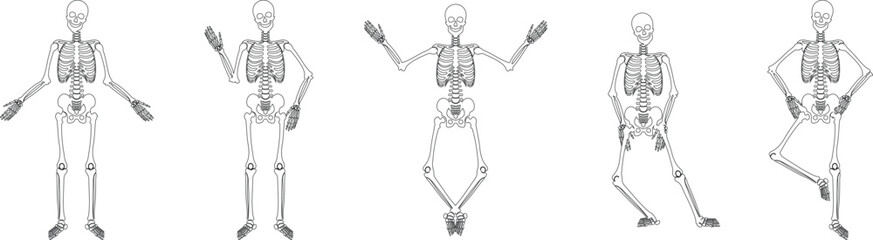 Dancing human skeleton bones icon set collection group isolated on transparent background in black and line style, anatomy spooky skull cranium medical illustration vector bundle design elements