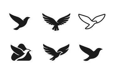 Fototapeta premium Bird Logo Variations. Bird soaring in the sky. Set Logo of Nature: flight silhouette icon. harmonious logo variations of the same emblematic concept, each with