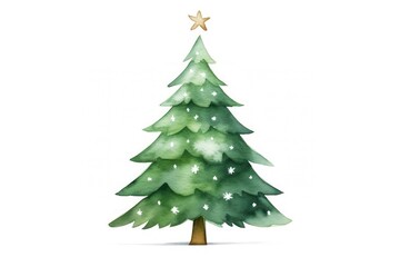Fototapeta premium Christmas tree christmas plant white background.