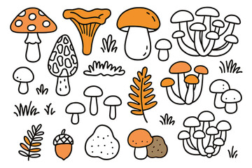 Colorful Mushroom Sketches. Mushrooms. Hand-drawn doodle illustration toadstool (colored), chanterelle, porcini (colored), morel, oyster mushroom (colored),