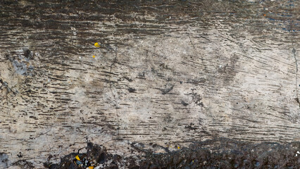 Textured concrete surface with linear markings and subtle color variations detail