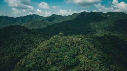 Green mountains and lush jungle foliage