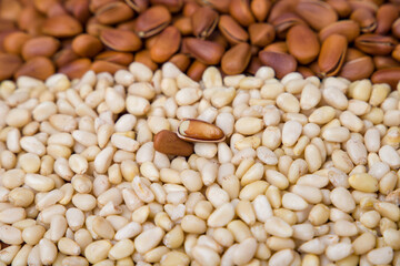 Pine nuts on the background of different varieties of pine nuts.