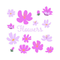 Set of blooming wildflowers isolated on a white background. Perfect for spring patterns, greeting cards, decoration, postcards, modern decor or branding.