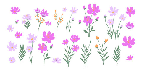 Set of blooming wildflowers and leaves isolated on a white background. Perfect for spring patterns, greeting cards, decoration, postcards, modern decor or branding.