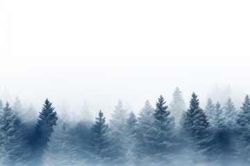 Naklejka premium Pine trees border mist scenery nature.