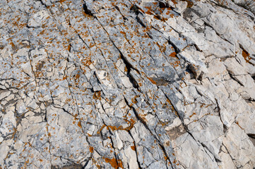 Rock with orange lichens