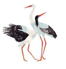 Watercolor illustration of two storks standing together. Romantic hand-painted bird couple perfect for wedding themes, nursery prints, nature decor, or spring-themed designs.