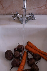 Freshly harvested vegetables washed under running water in a rustic kitchen sink, capturing a vibrant farm-to-table moment