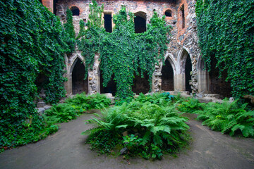  Beautiful archway in the ruins of the convent called Rosa Coeli (Rose of Heaven), South Moravian Region (Jihomoravský kraj)