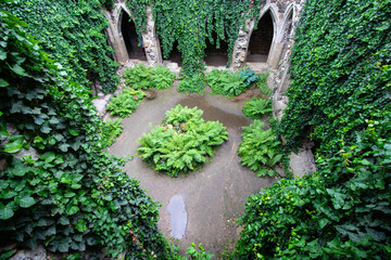  Beautiful archway in the ruins of the convent called Rosa Coeli (Rose of Heaven), South Moravian Region (Jihomoravský kraj)