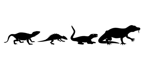 Four silhouettes of reptiles and amphibians including a lizard turtle crocodile and snake