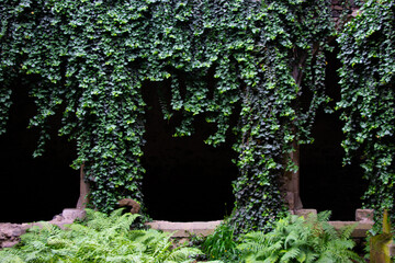  Beautiful archway in the ruins of the convent called Rosa Coeli (Rose of Heaven), South Moravian Region (Jihomoravský kraj)