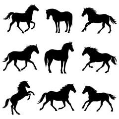 Horse set silhouette vector style