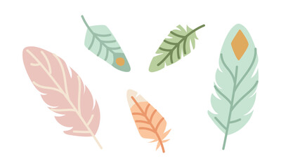 Set of delicate feathers in various shapes and colors. Flat color vector illustration. Stylized isolated feathers with soft details, perfect for design, decoration, and nature-themed projects.