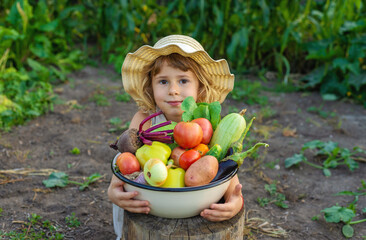 A child with a vegetable harvest in the garden. Selective focus.