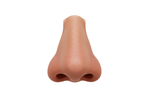 Human nose isolated on transparent background