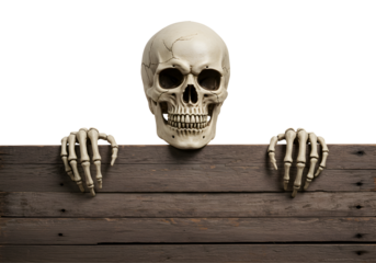 Human skull and skeletal hands emerging from wooden planks isolated on transparent background