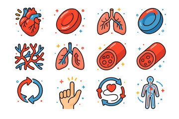 Blood Circulation Icons. Blood Circulation. Colorful isometric vector icons set of Blood Circulation: heart pumping, oxygenated red blood cell, deoxygenated